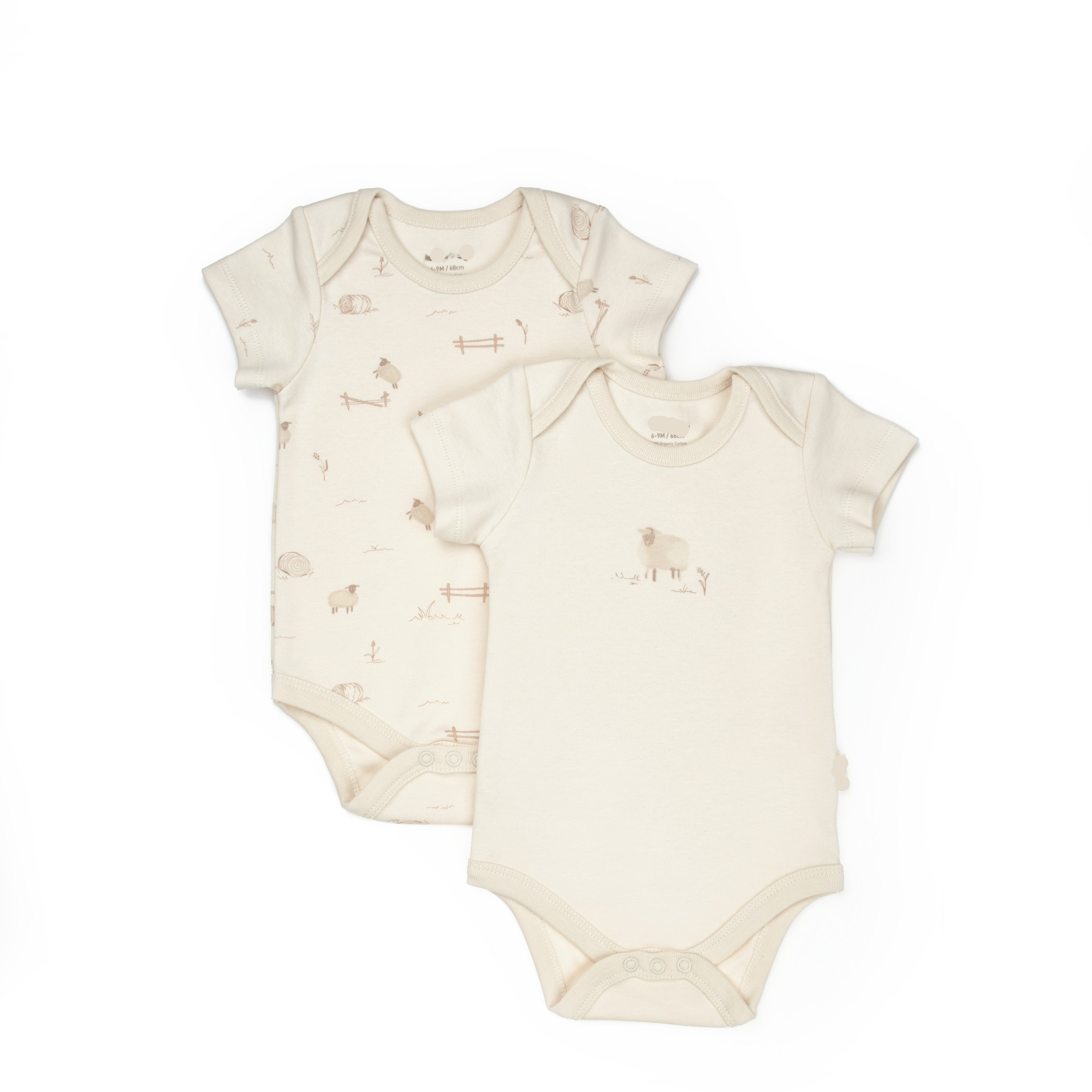 Lamb Meadow Organic Set