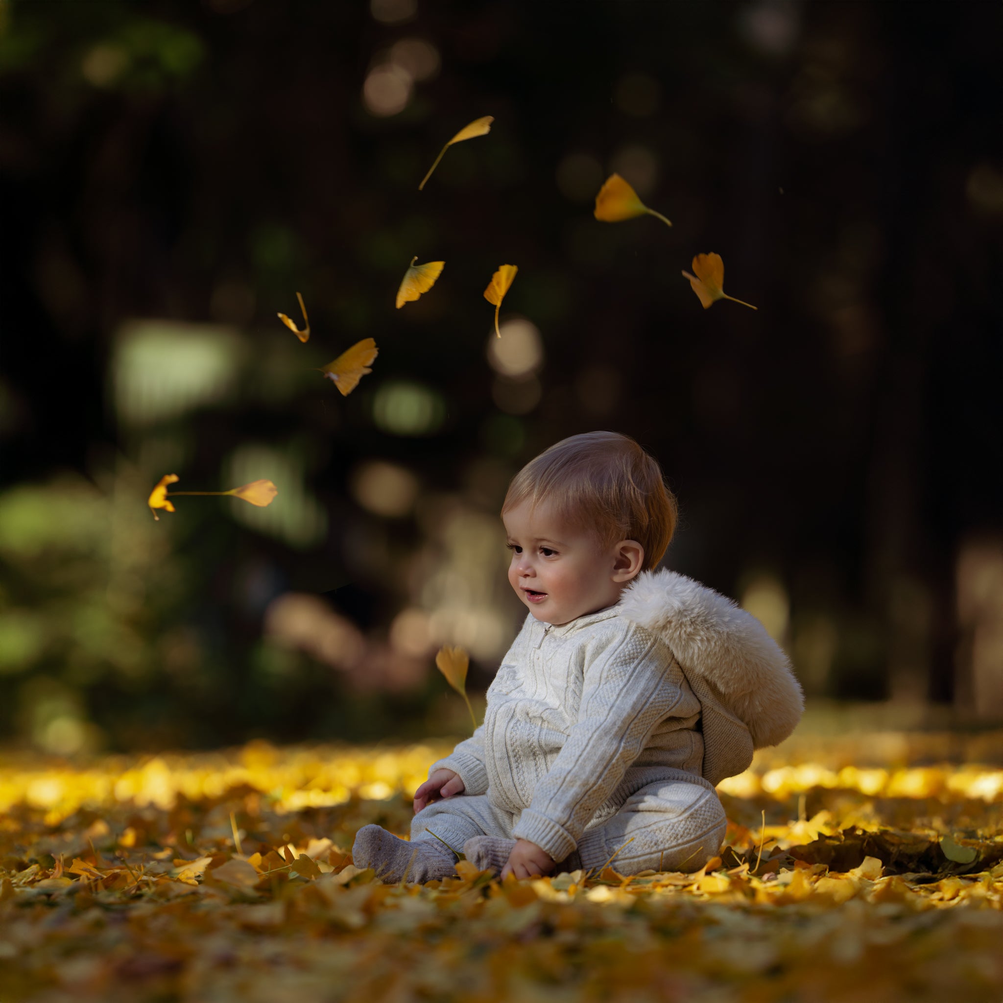 Arctic Cloud Merino Wool Set
