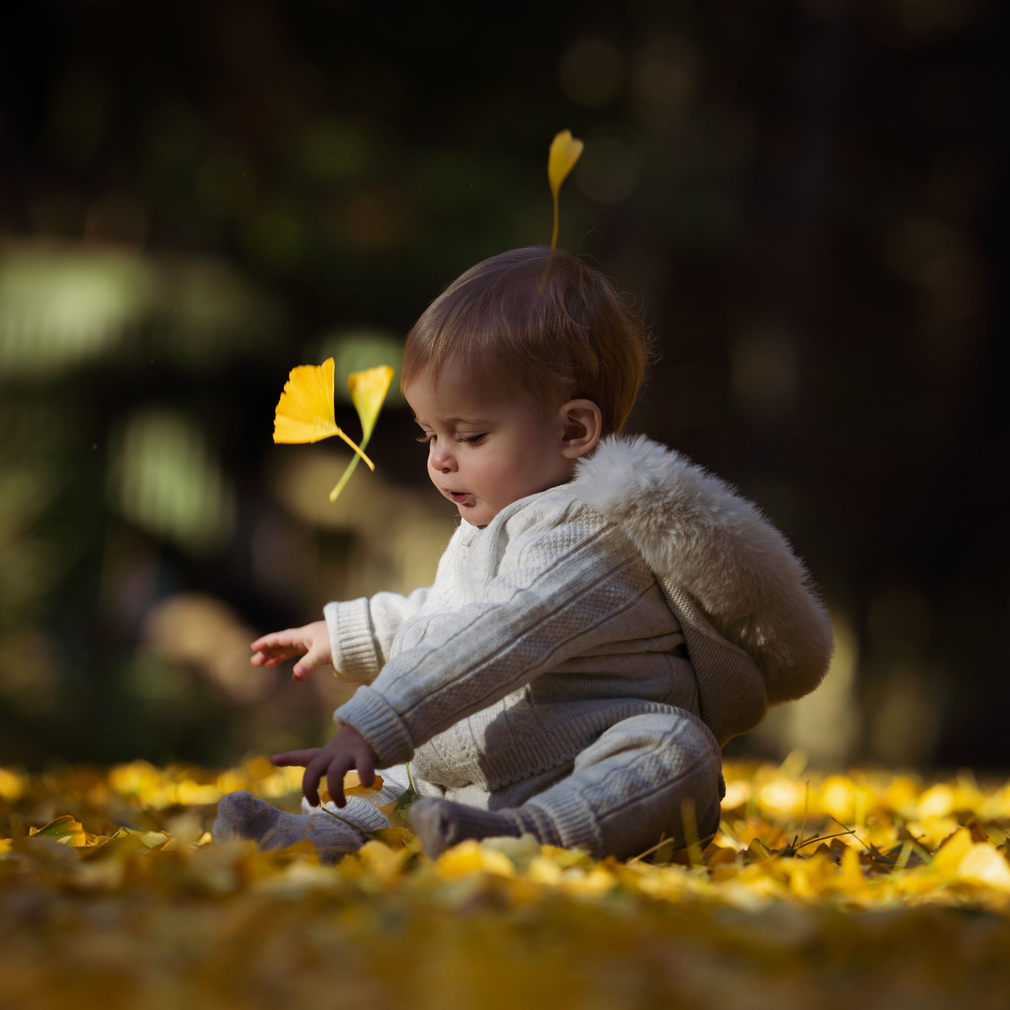 Arctic Cloud Merino Wool Set