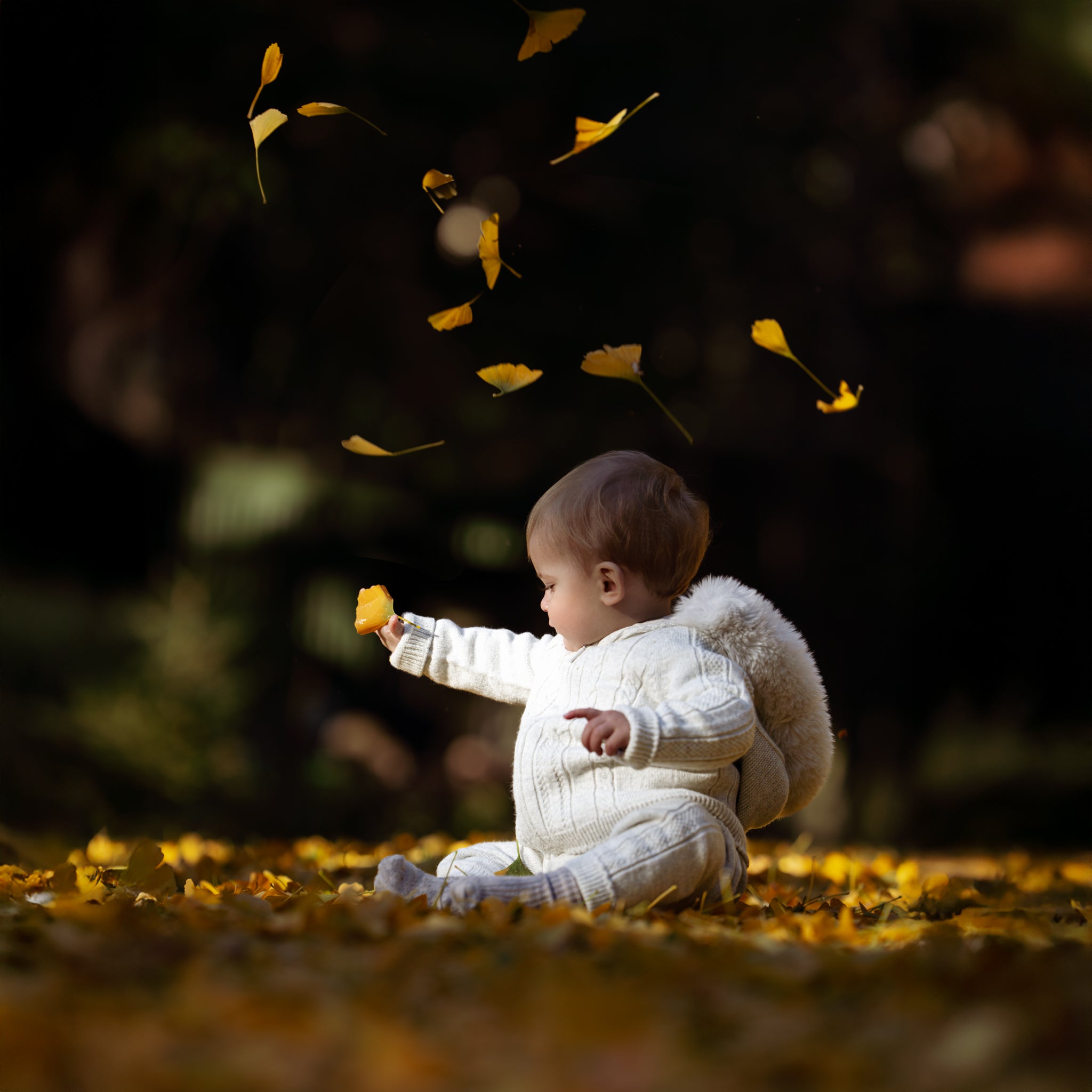 Arctic Cloud Merino Wool Set