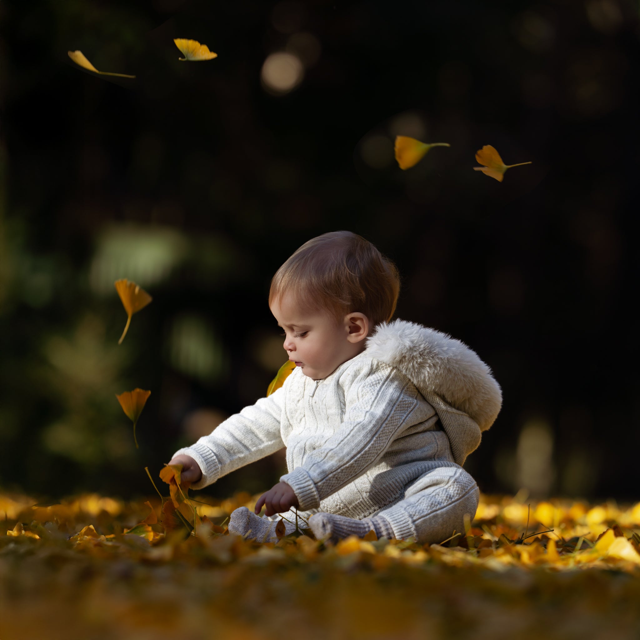 Arctic Cloud Merino Wool Set